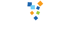 Revelo Software
